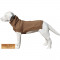 CC-Jazz-Camel-03